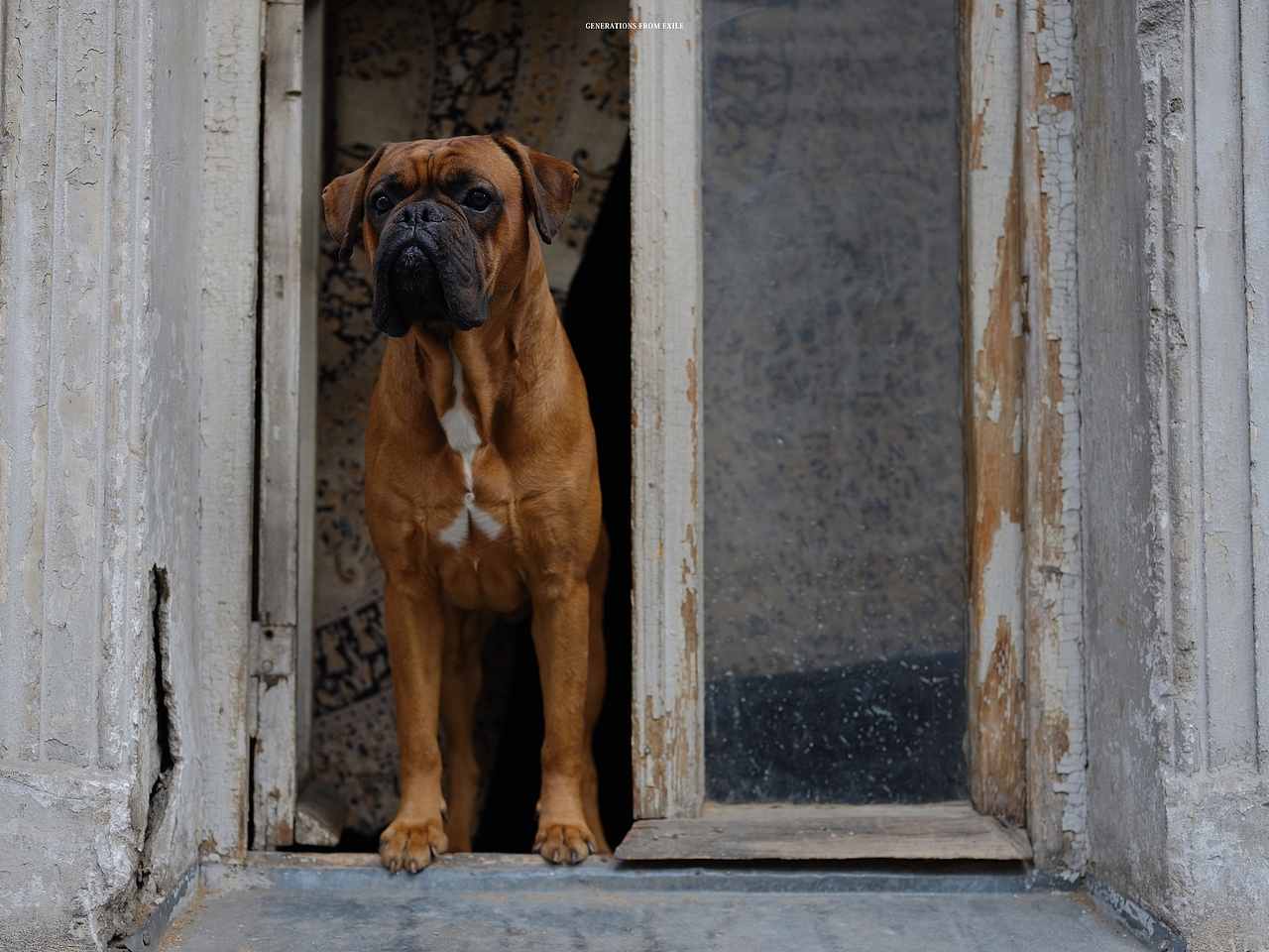 眼中的格鲁吉亚（图ZMTU1MDQyOTg0） - 人文/纪实摄影 - 站酷设计师眼中人原创素材 - 站酷ZCOOL