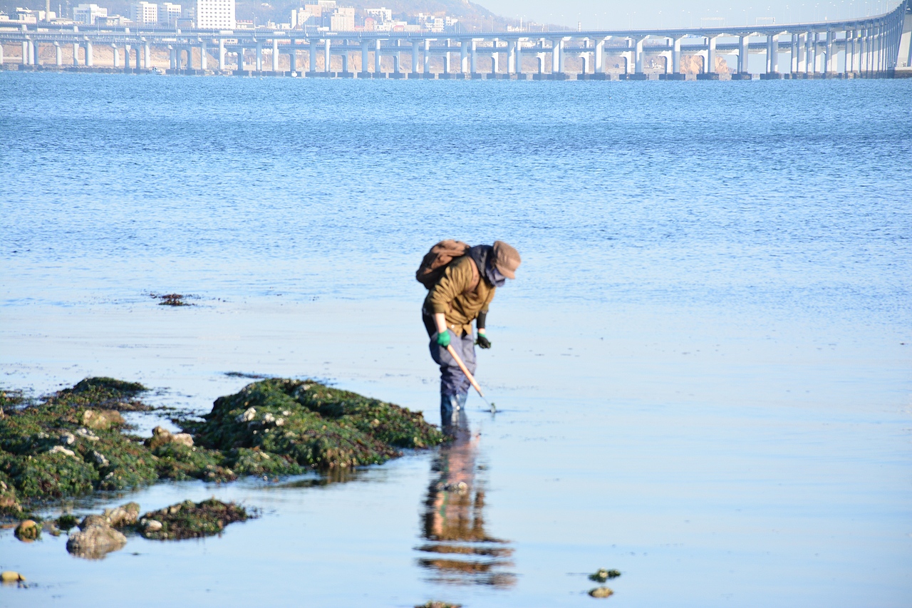 颤抖在东北（图ZMTAzNzg2ODQ4） - 风光摄影 - 站酷设计师322的233原创素材 - 站酷ZCOOL