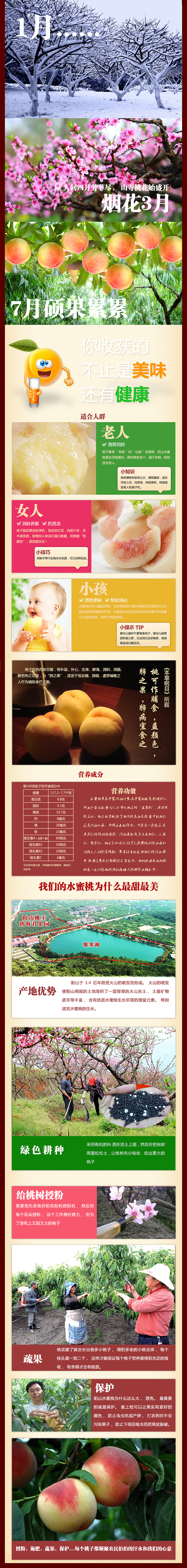 阳山水蜜桃宝贝描述设计（图ZMTc5NzM4MzI=） - 电商 - 站酷设计师yundanfengqing原创素材 - 站酷ZCOOL