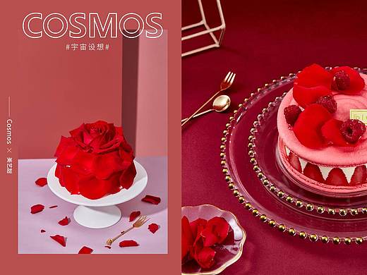 美艺甜 蛋糕 × 宇宙设想 COSMOS