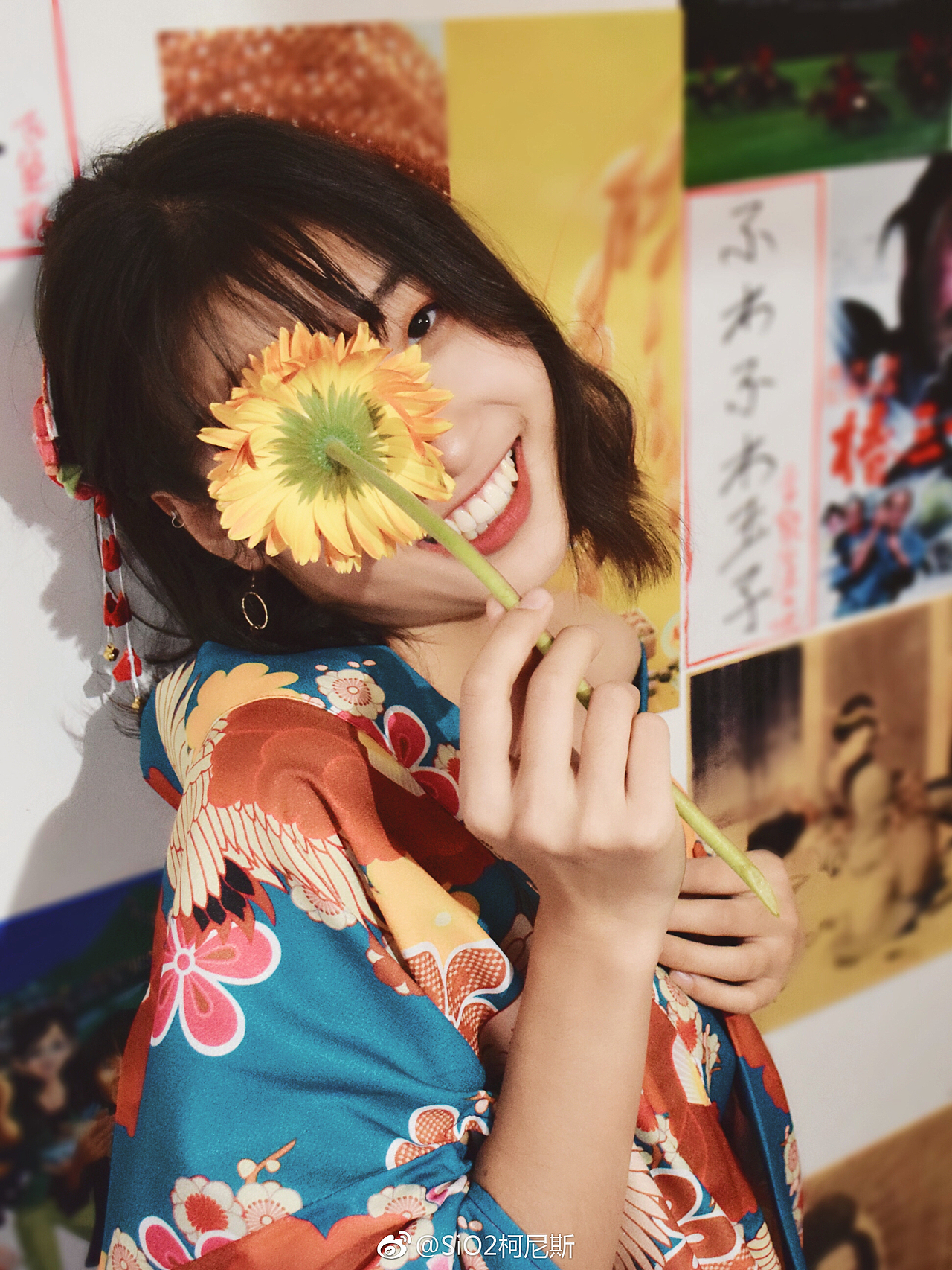 【9月の菊和璧】