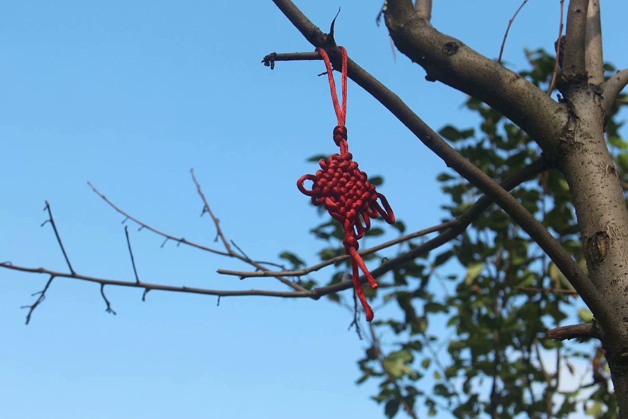 22 0 0 绍兴  |  学生 疫情前 带着相机出门拍摄 发现树上挂着中国结