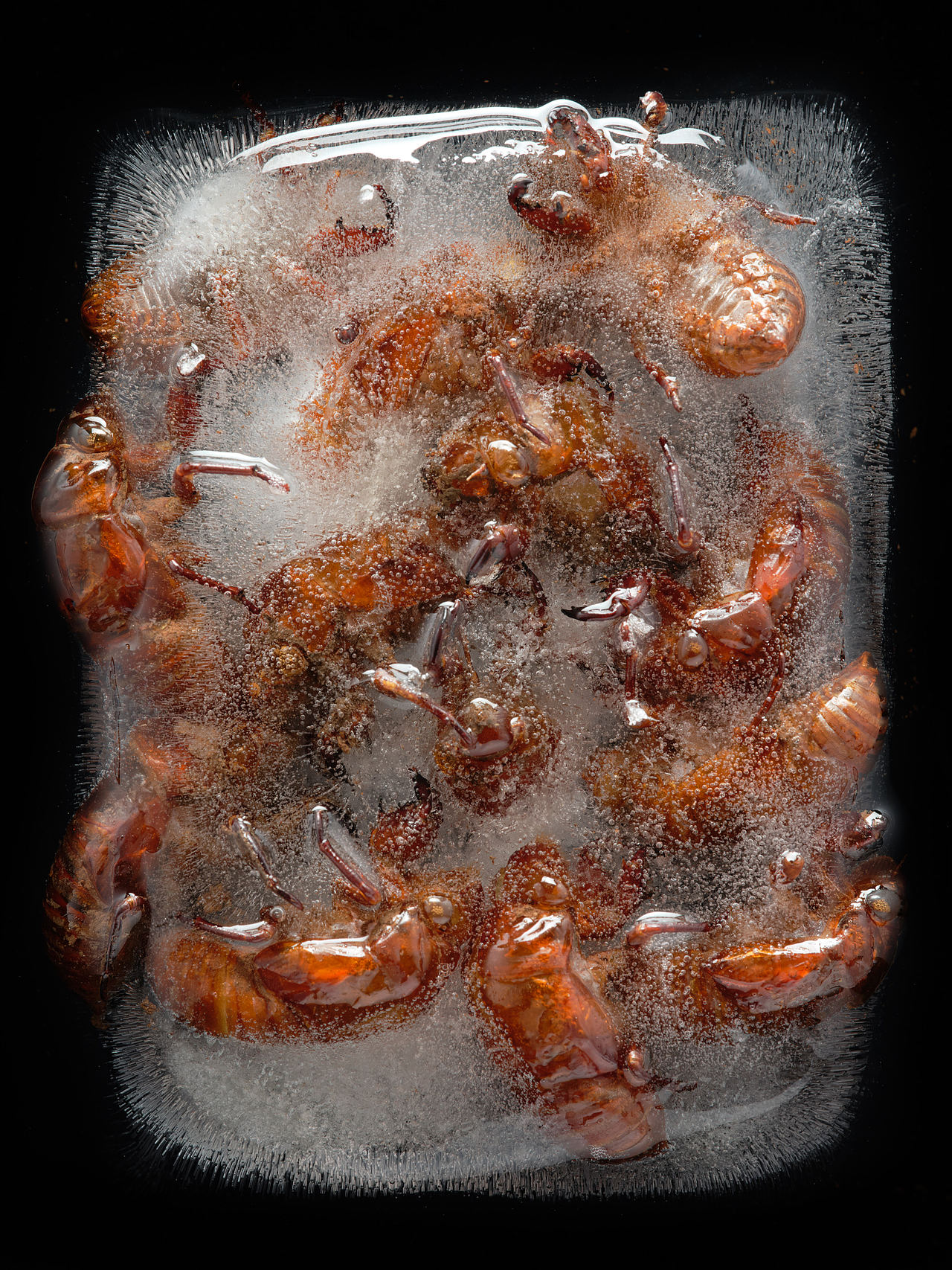 34期(摄影创作):旧物