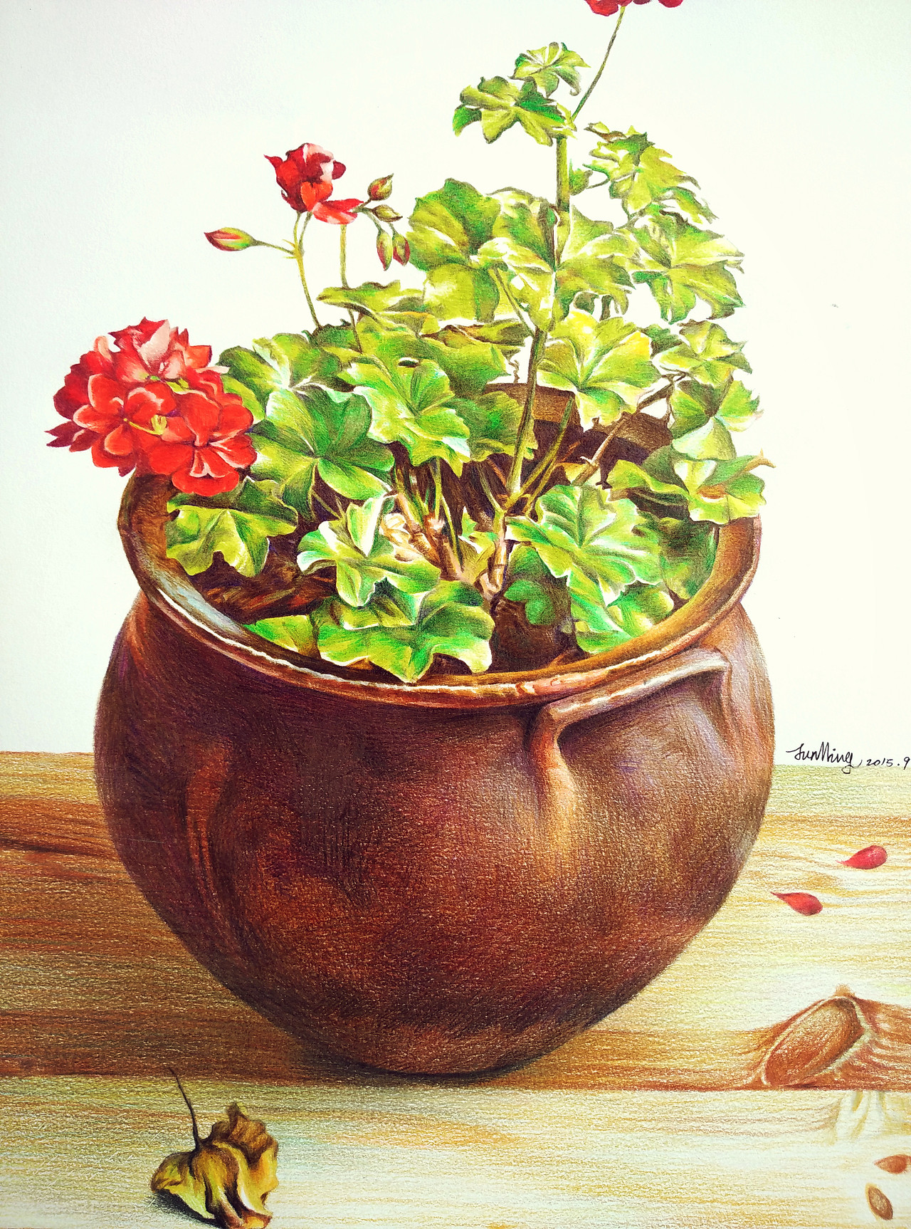 彩铅写实装饰画盆栽花