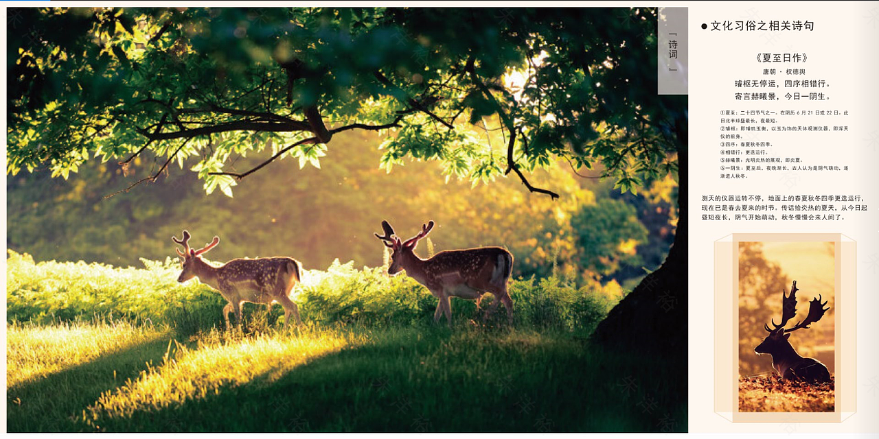 《夏至》型录册子（图ZMjEzMTg5Mzc2） - 书籍/画册 - 站酷设计师涣成野原创素材 - 站酷ZCOOL