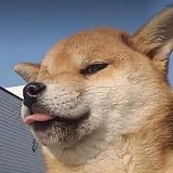 GimboWong的头像