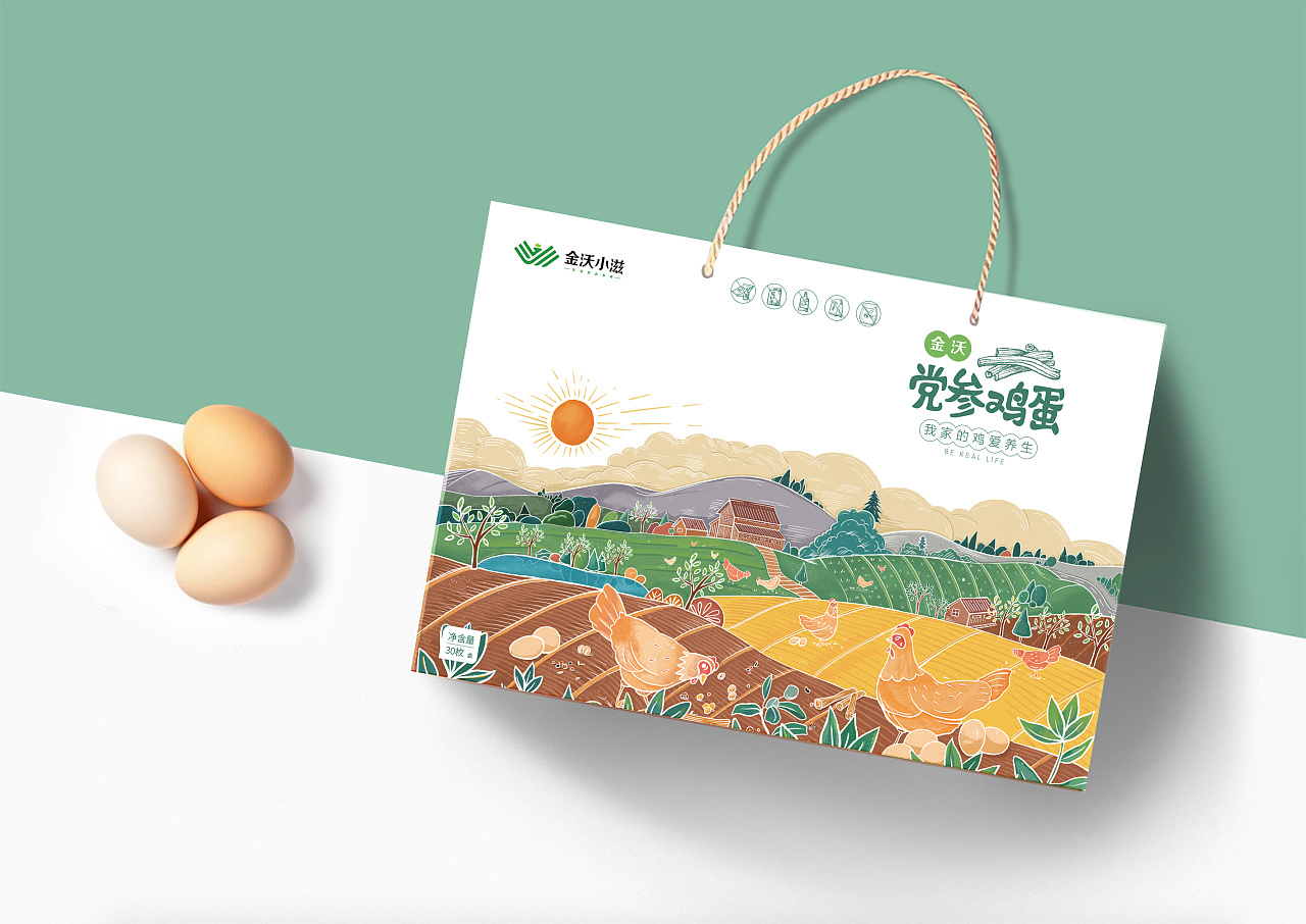 商业插画包装/金沃小滋鸡蛋包装设计