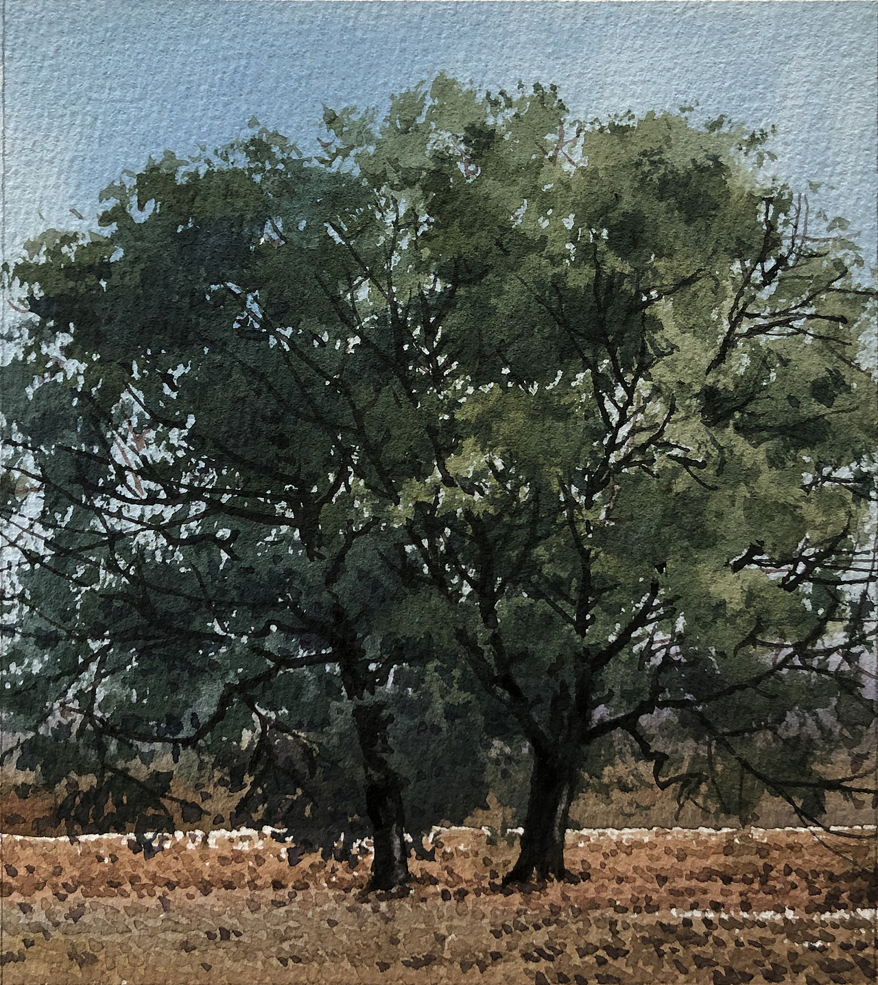 那些送给小伙伴们的小画 (高清详细 二)