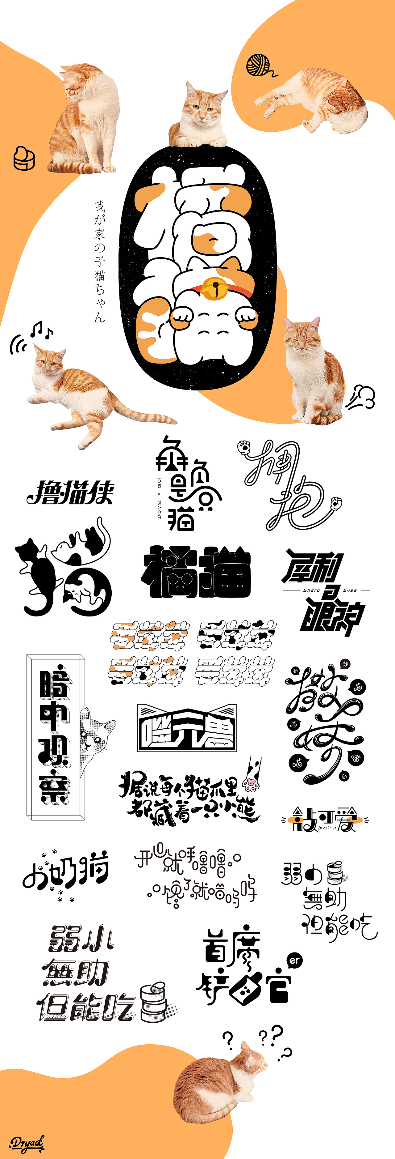 关于猫咪字体设计