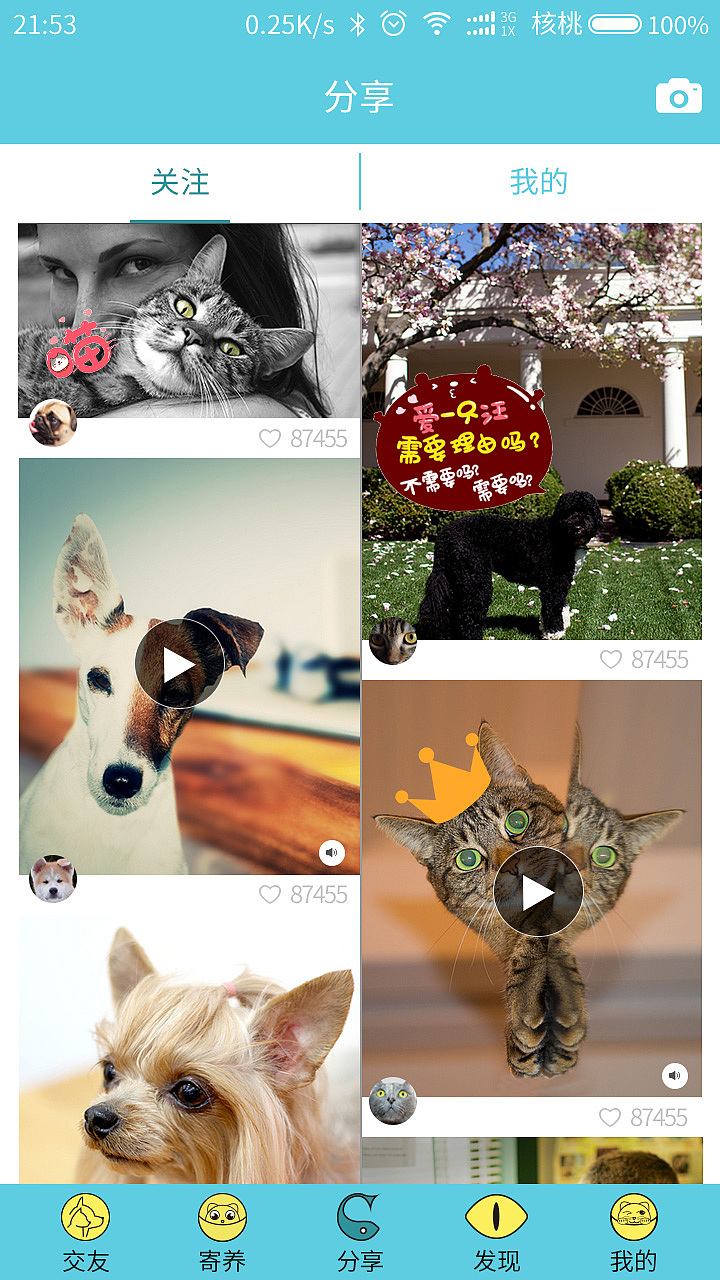 宠物-APP（图ZMTM1NzcwMDU2） - APP界面 - 站酷设计师叁石锅锅原创素材 - 站酷ZCOOL