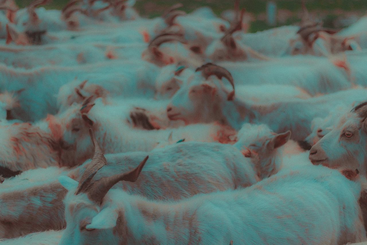 雨后请开心一点。