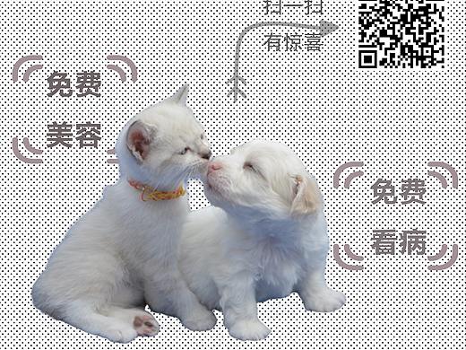X展架