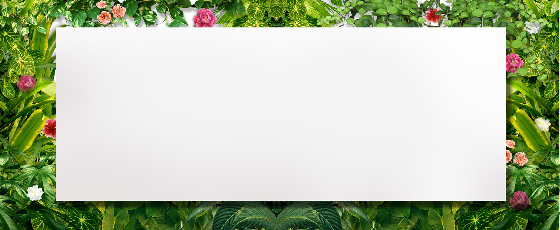 绿色植物海报背景