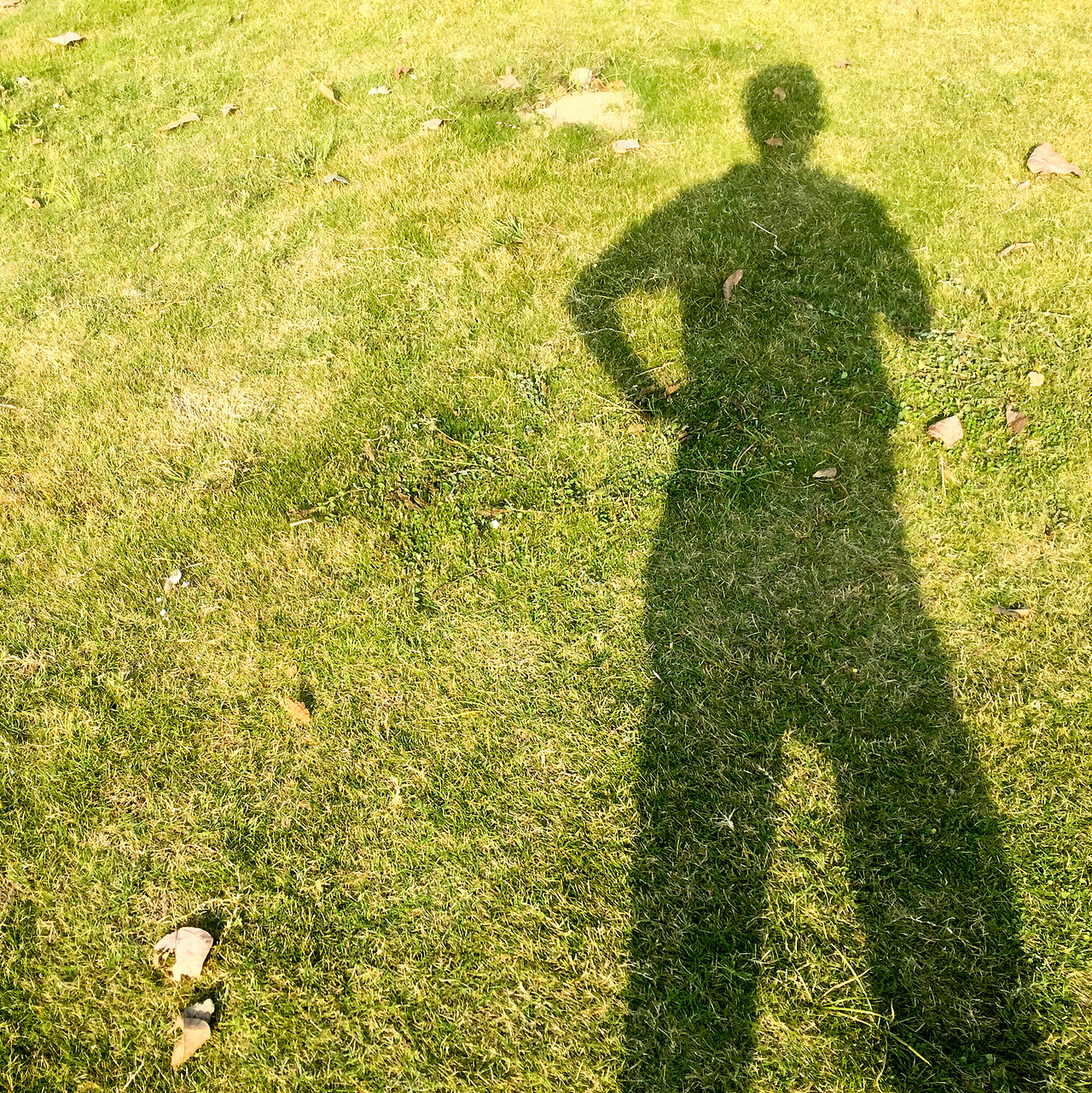 影子追着光撒娇