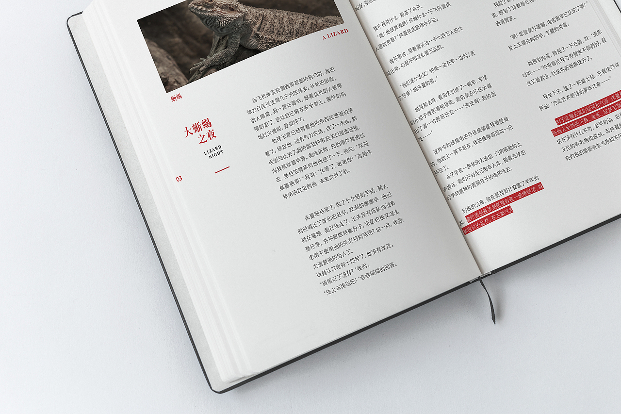 书籍内页（图ZMTM4NDI4NTA4） - 书籍/画册 - 站酷设计师是一条咸鱼啊原创素材 - 站酷ZCOOL