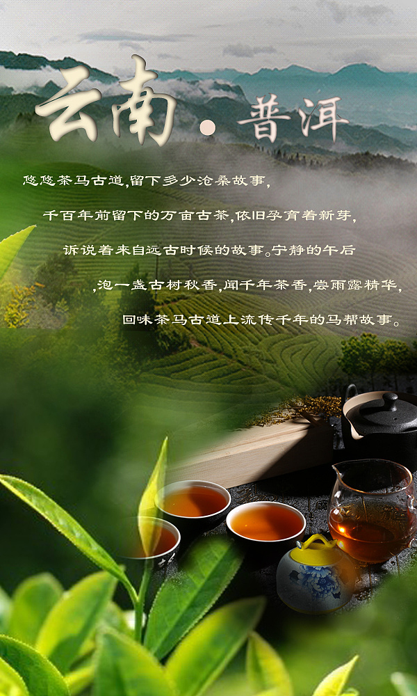 普洱茶海报（图ZNzY5MTg2OTI=） - 海报 - 站酷设计师Andy4605原创素材 - 站酷ZCOOL