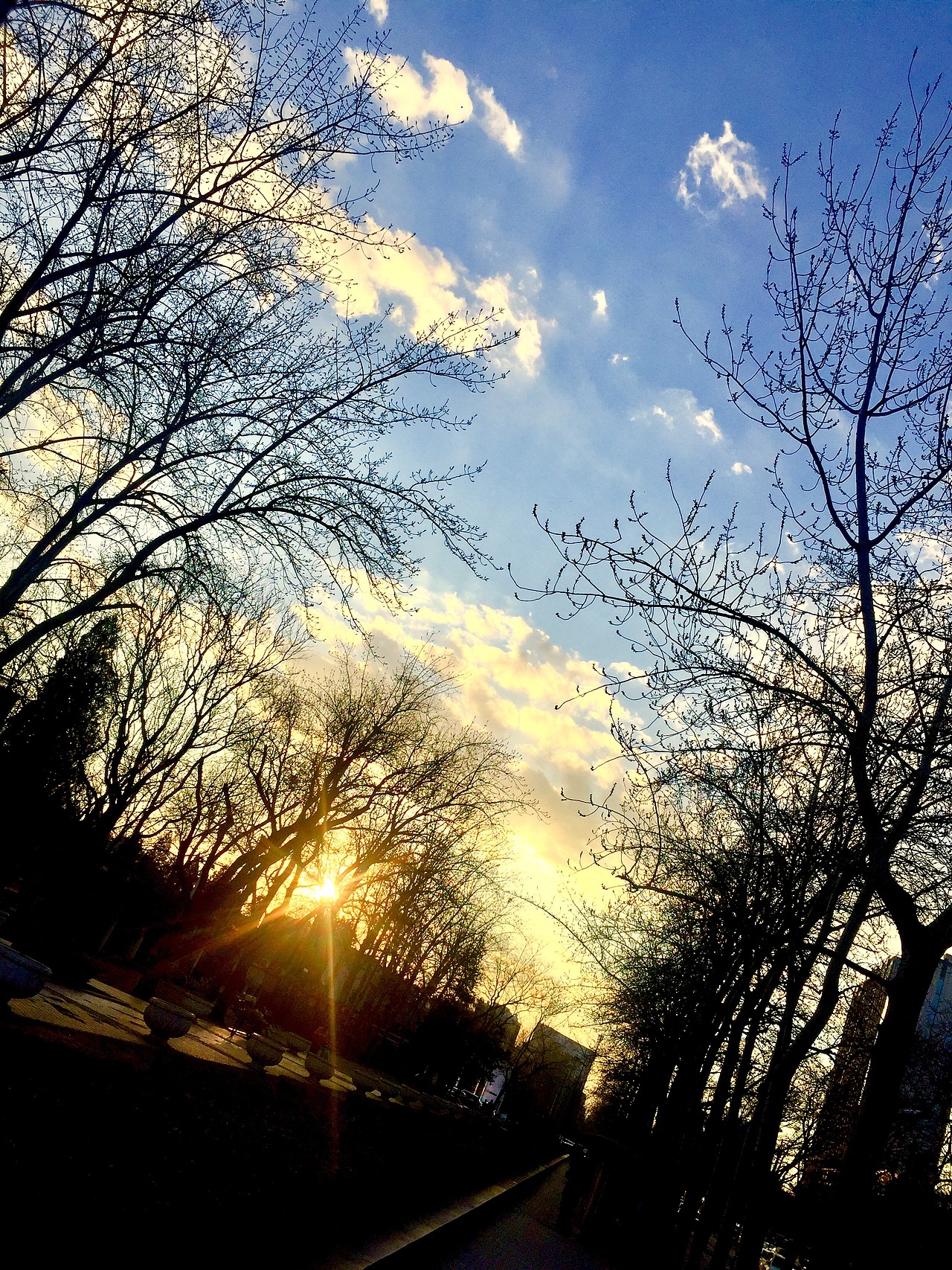 夕阳西下 没有断肠人 没有天涯