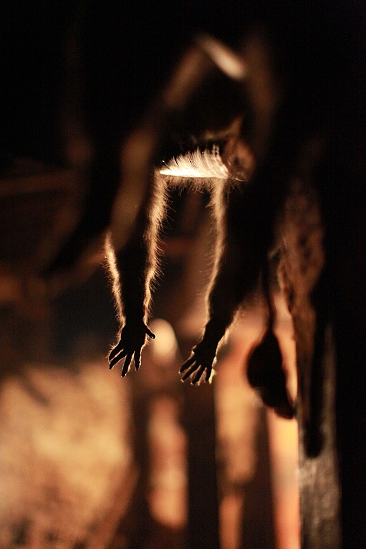 俄亚影像志+部分拍摄花絮（图ZMTAxNDE4OTI=） - 人像摄影 - 站酷设计师fotothink原创素材 - 站酷ZCOOL