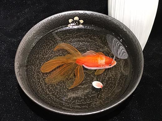 3D树脂作品（个人主页-ZMjUxMjQ3Njg=） - 工艺品设计 - 站酷设计师飘渺色彩控原创素材 - 站酷ZCOOL