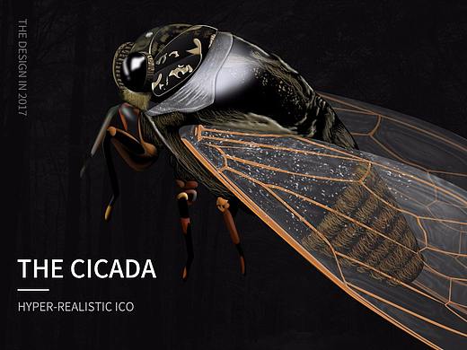 超写实图标习作-蝉（CICADA）