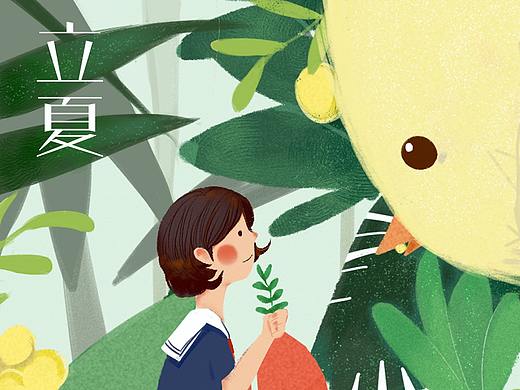 原创作品夏季节气插画