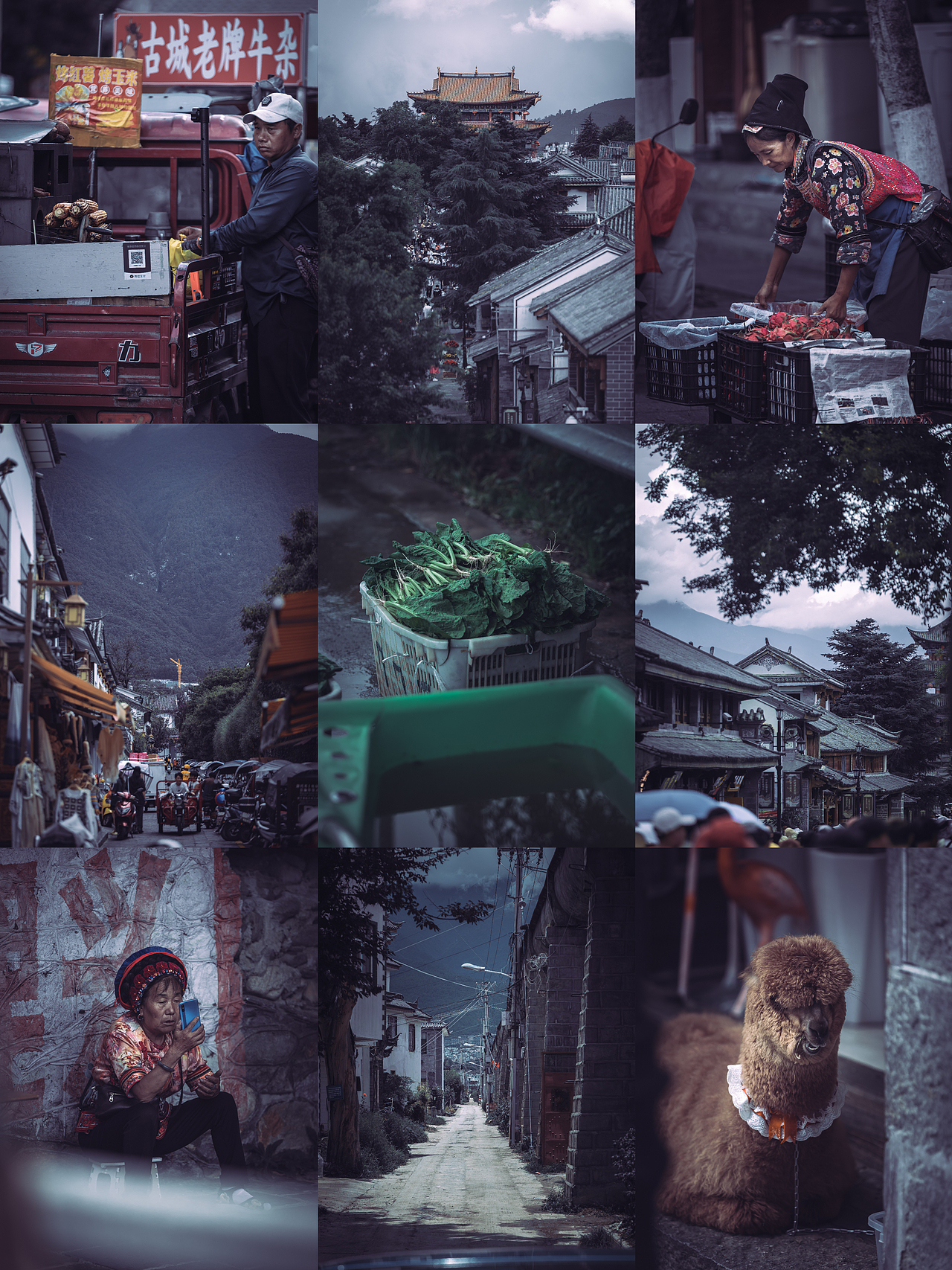 古城韵味·老牌牛杂,白族自治风情与现代味蕾