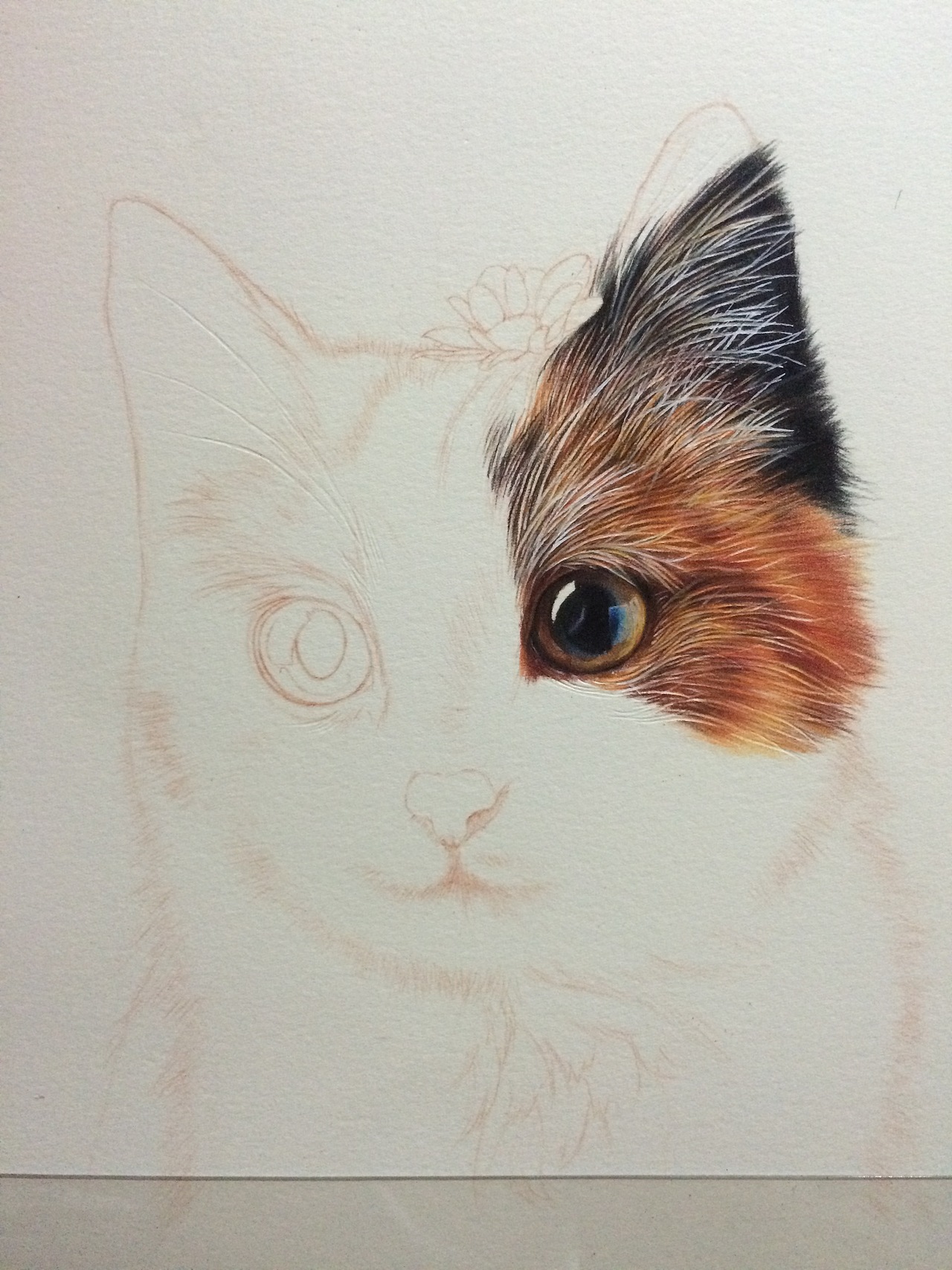 小花猫（图ZODkyNDcyMzI=） - 绘画 - 站酷设计师LJ_Ken原创素材 - 站酷ZCOOL