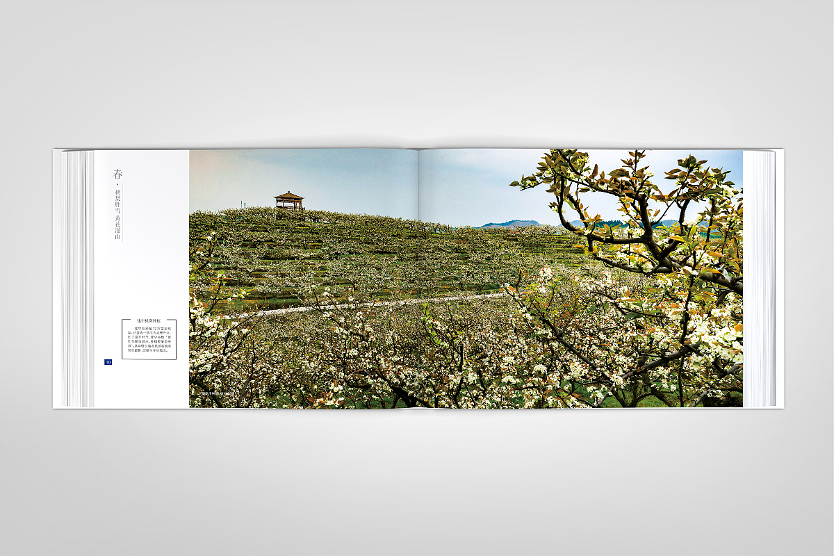 清新花香·福源建宁-精装画册-源艺设计