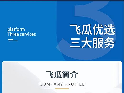 平台  服务说明