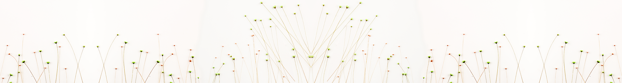 雪雪酱紫的个人主页（封面预览） - 主页封面设置 - 站酷设计师雪雪酱紫原创素材 - 站酷ZCOOL