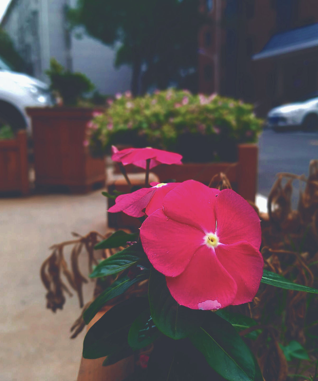 手机摄影（图ZMTgwMzg1NzQw） - 风光摄影 - 站酷设计师白藏z原创素材 - 站酷ZCOOL