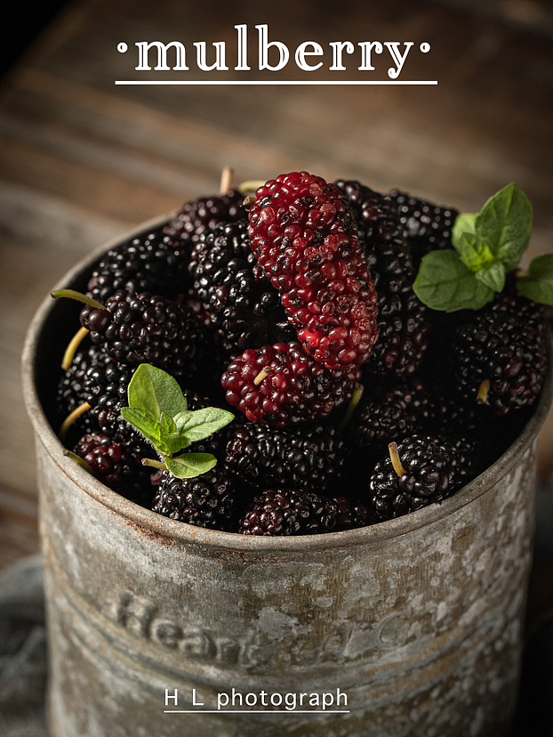 静物摄影 水果拍摄 暗调桑葚拍摄