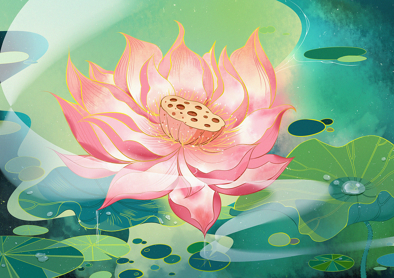 荷花（图ZMjY4MzYzNTcy） - 商业插画 - 站酷设计师只兔原创素材 - 站酷ZCOOL