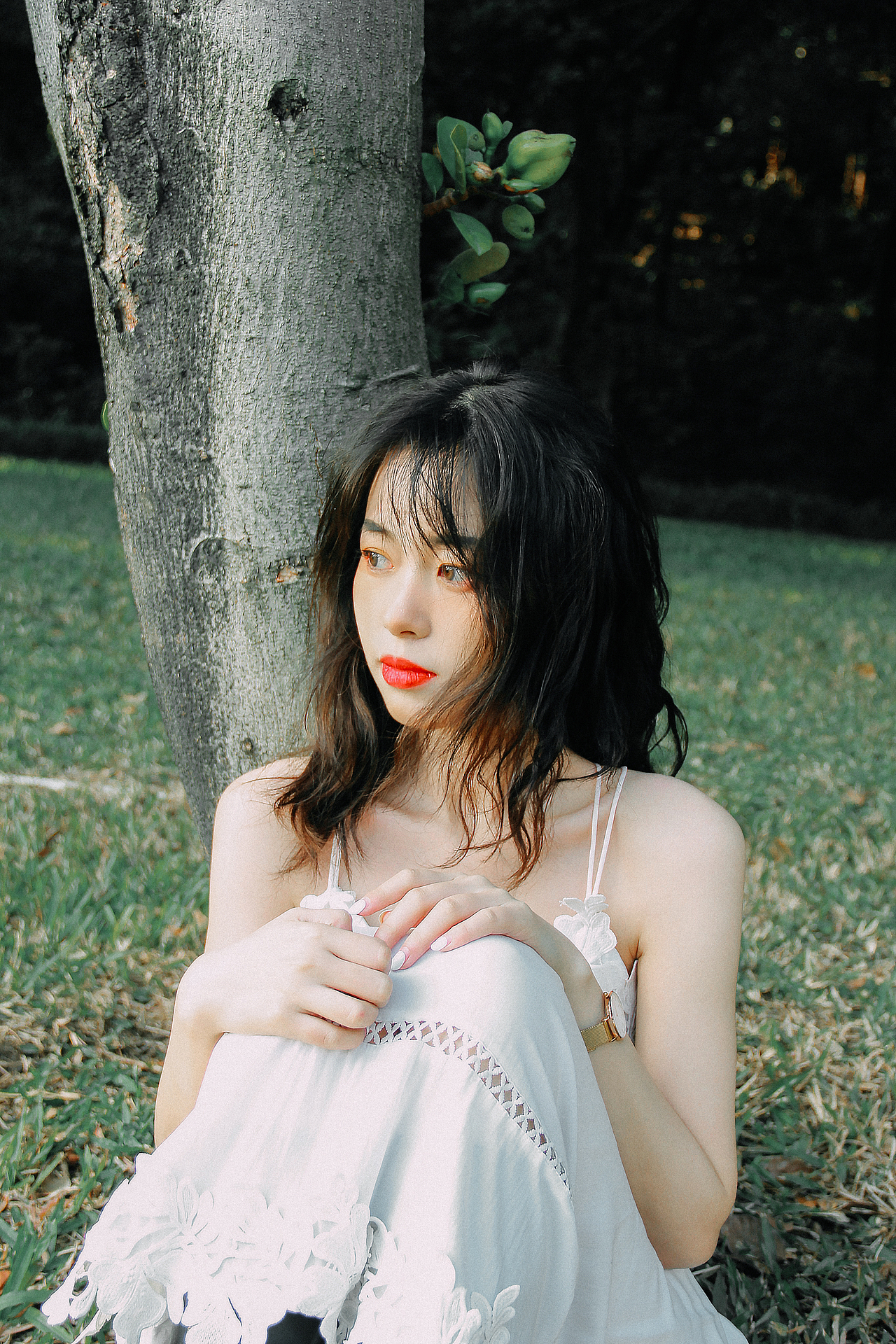 一起来广东吹冬天的风吧