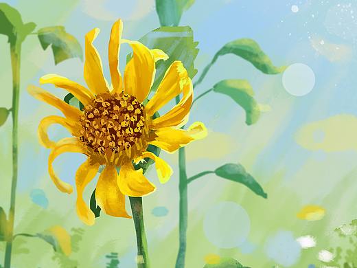 向日葵（个人主页-ZNTIwNDQ2OTY=） - 艺术插画 - 站酷设计师爱吃甜甜圈的小熊原创素材 - 站酷ZCOOL