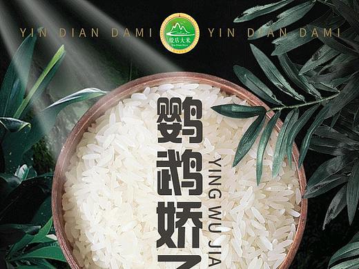 鹦鹉娇子大米详情页