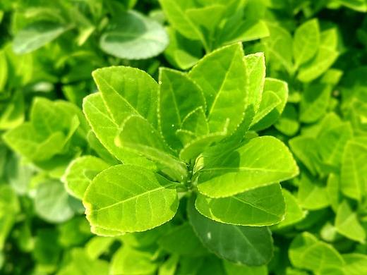 随拍（个人主页-ZMjY4NzI0ODQ=） - 风光摄影 - 站酷设计师吃芒果不过敏原创素材 - 站酷ZCOOL