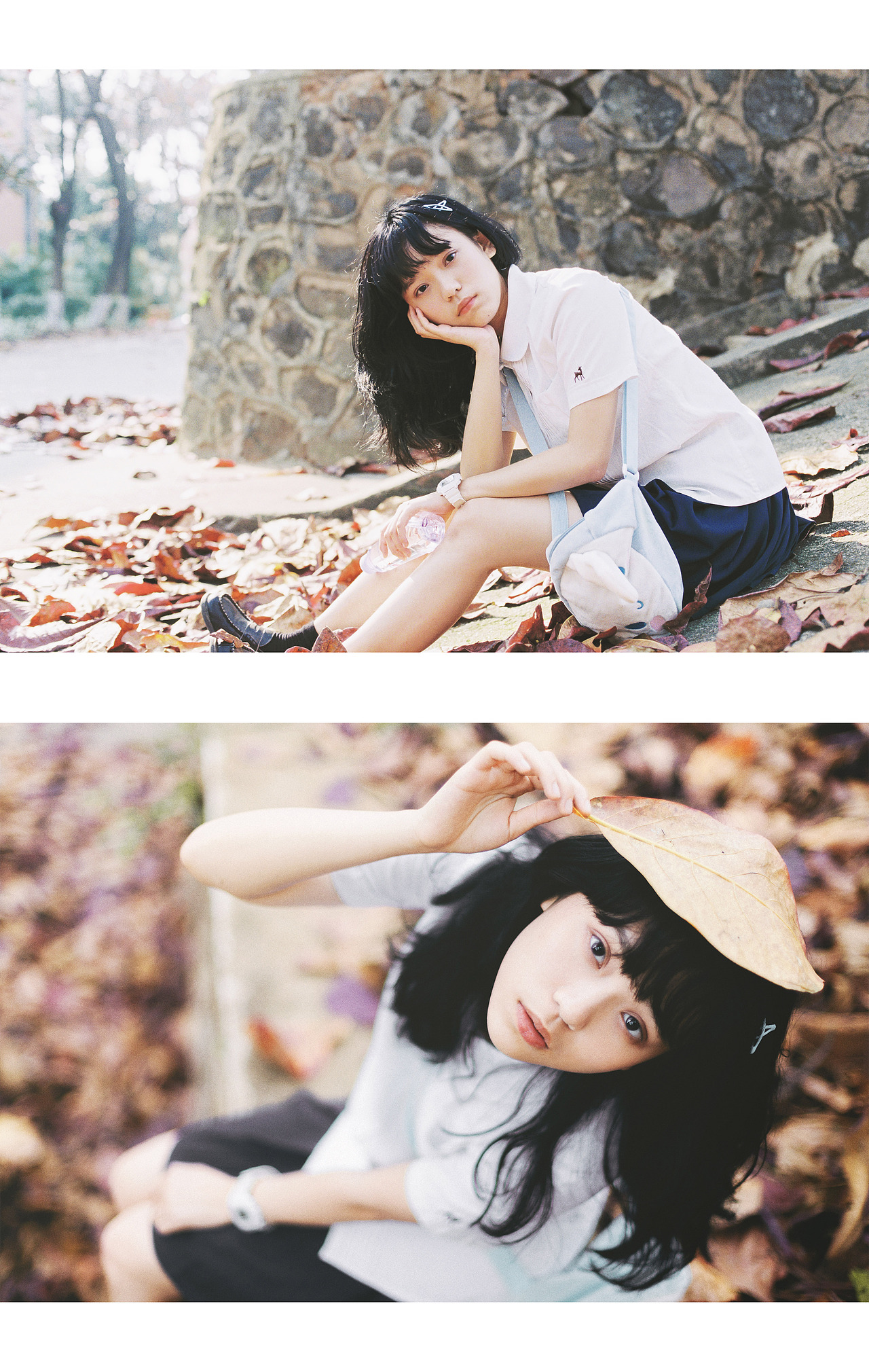 今日は良い天気です