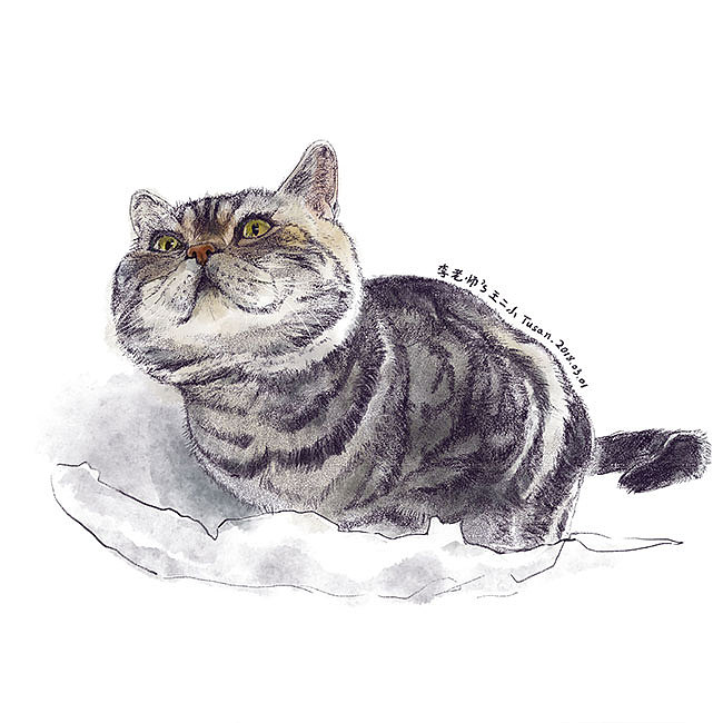 画了10只猫(图ZMTgzOTQ1NzE2) - 艺术插画 - 站酷设计师Tusan了了原创素材 - 站酷ZCOOL