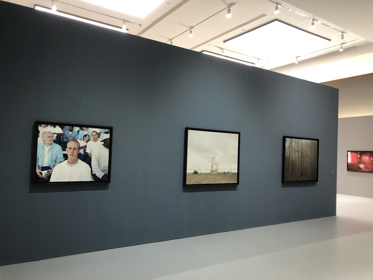 展馆-看不懂系列