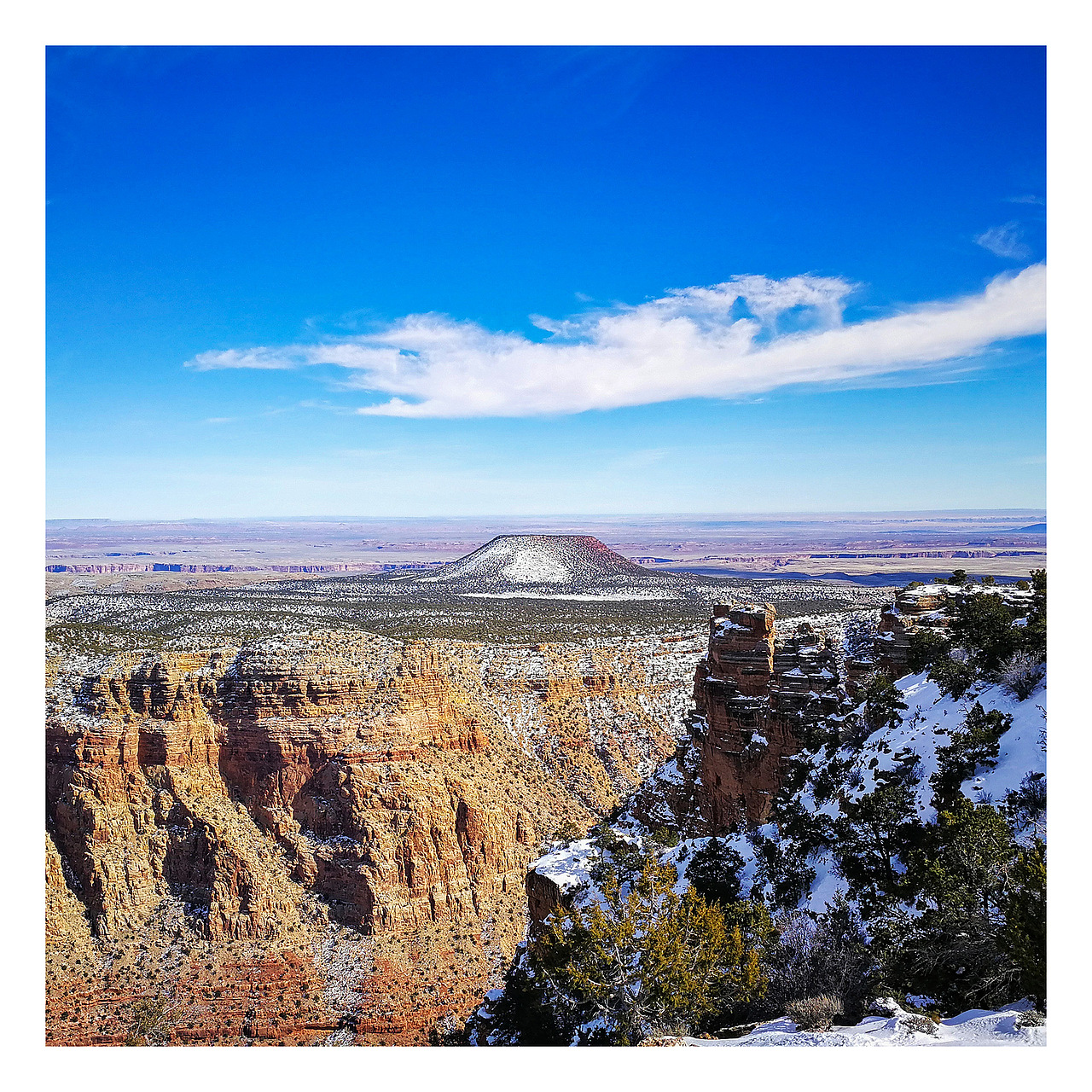 [手机摄影]二月美西，穿梭在海洋与雪地