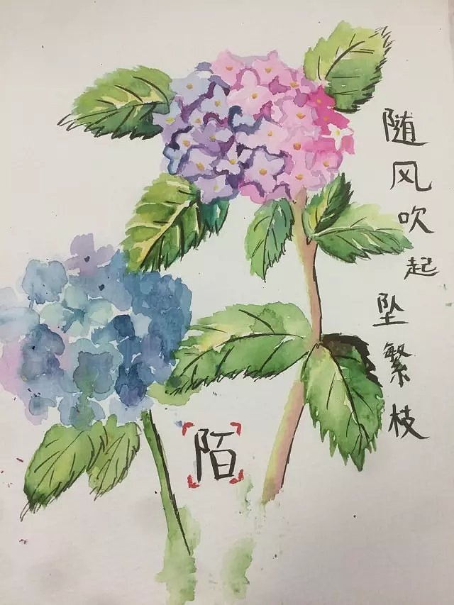 清新（图ZMjk3NTYwOTI=） - 创作习作 - 站酷设计师佐小陌原创素材 - 站酷ZCOOL