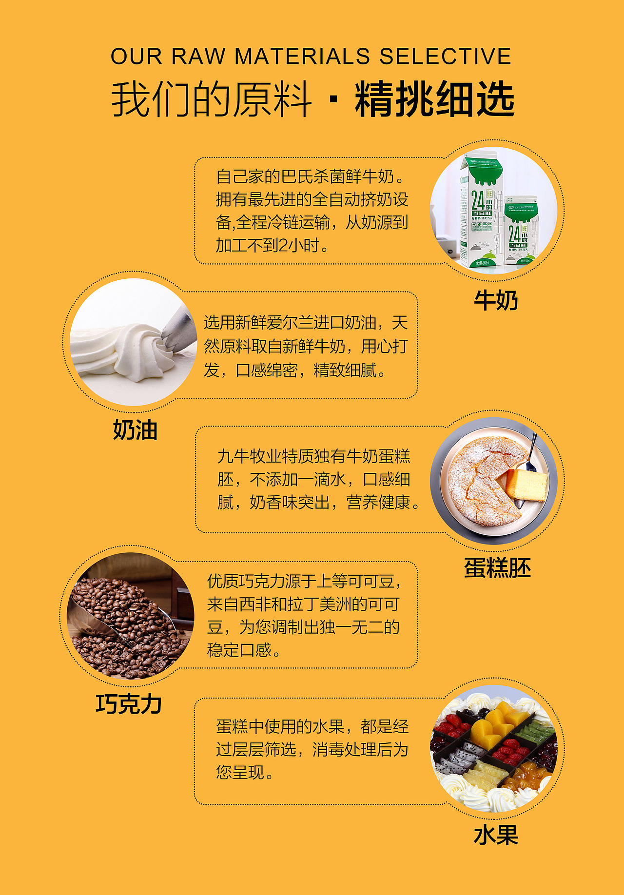 九牛牧业蛋糕画册