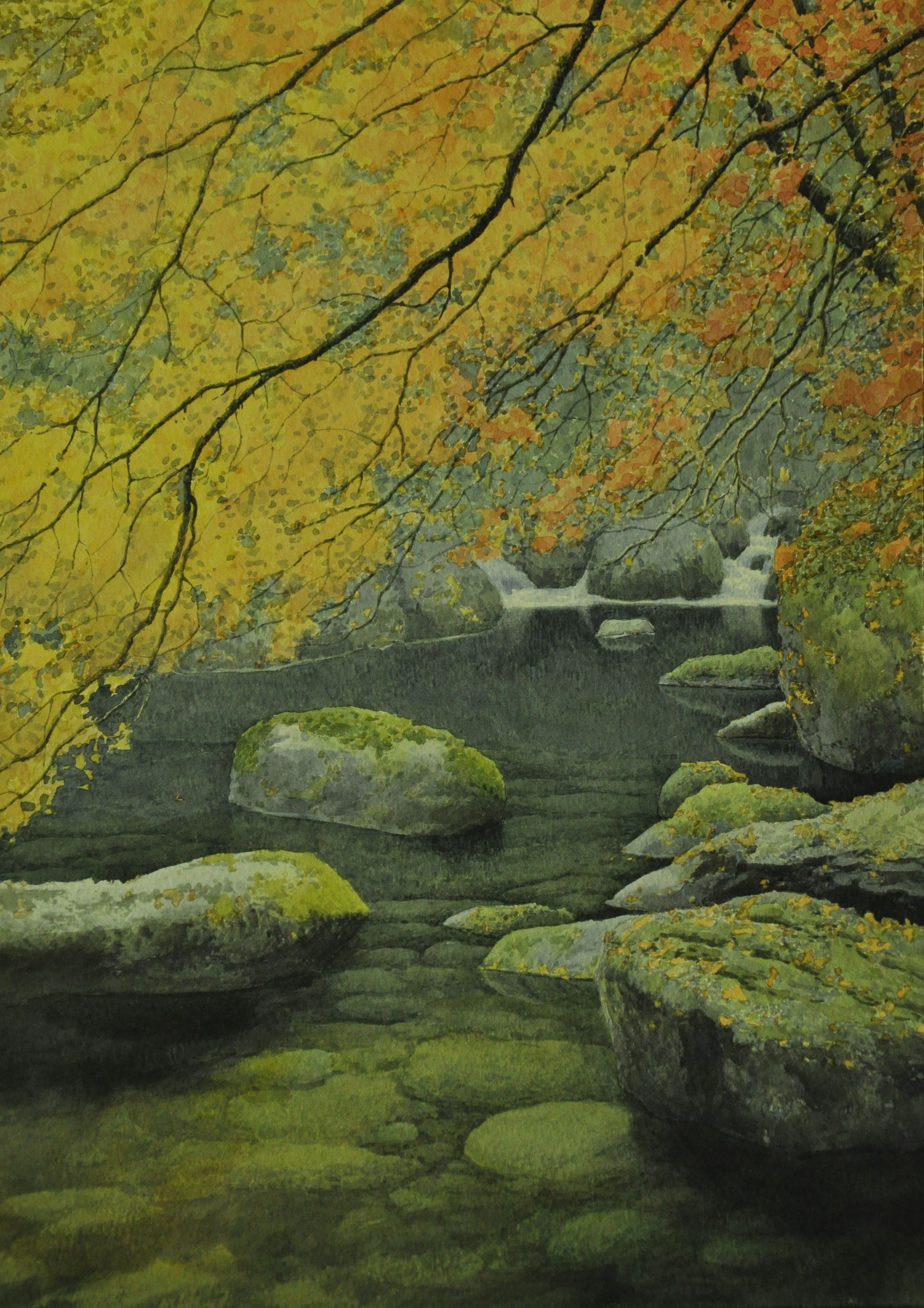 8分钟画一棵秋天的树|纯艺术|绘画|黄有维水彩 - 原创作品 - 站酷