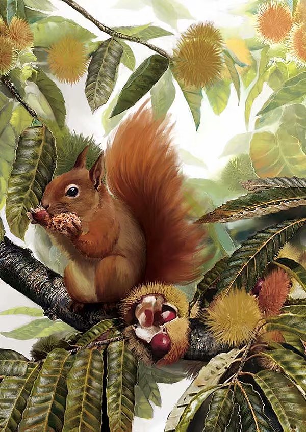 森林报图书插画作品