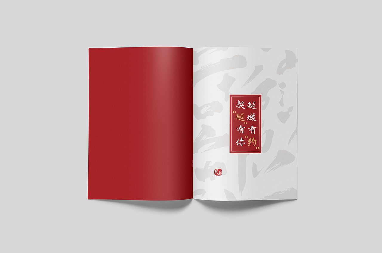 《浙江绍兴越城区年终工作日志》画册设计