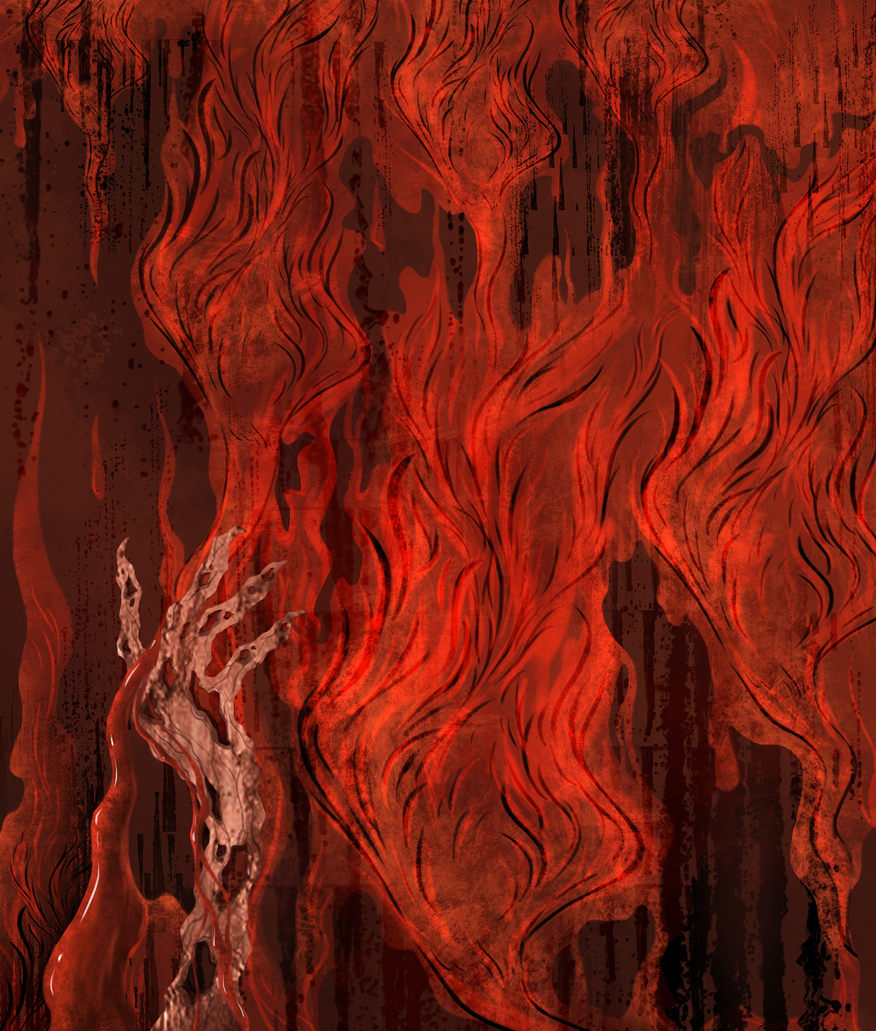 深渊——关于盔犀鸟