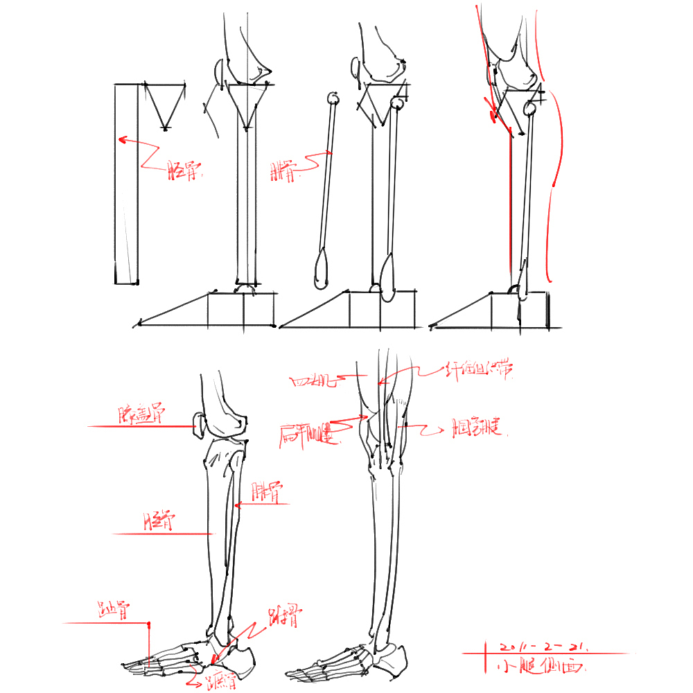 「素材」分享一波绘画专用人体解剖素材 part 04