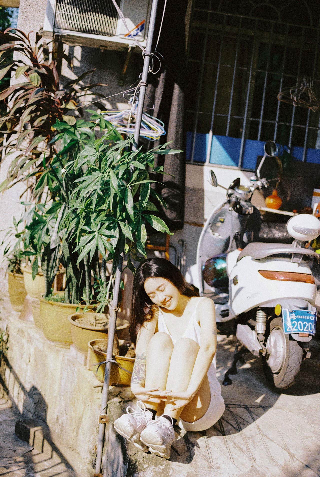 风是甜的 阳光是暖的