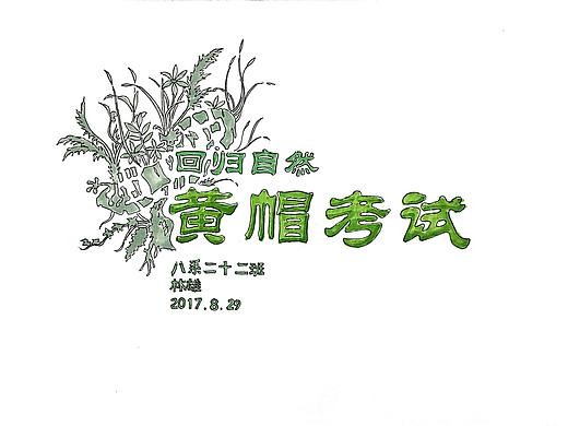 别墅庭院景观设计方案